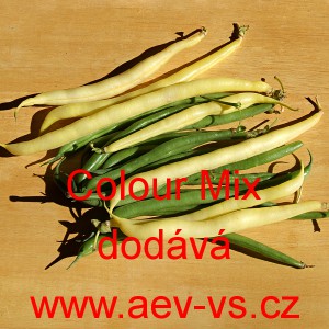 Fazol keř&iacute;čkov&yacute; Colour Mix