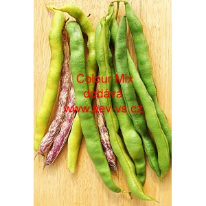 Fazol tyčkov&yacute; Colour Mix