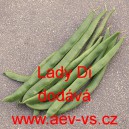 Fazol pnouc&iacute; &scaron;arlatov&yacute; Lady Di