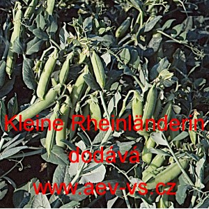 Hr&aacute;ch set&yacute; k vylupov&aacute;n&iacute; Kleine Rheinl&auml;nderin