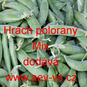 Hr&aacute;ch set&yacute; dřeňov&yacute; poloran&yacute; Mix