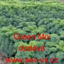 Kapusta kadeřav&aacute; kadeř&aacute;vek zelen&yacute; Green Mix