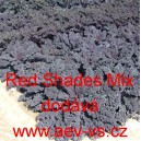 Kapusta kadeřav&aacute; kadeř&aacute;vek červen&yacute; Red Shades Mix