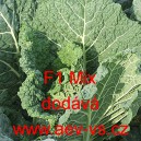 Kapusta hl&aacute;vkov&aacute; hybridn&iacute; velmi ran&aacute; až ran&aacute; F1 Mix