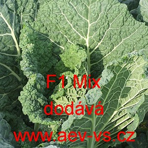 Kapusta hl&aacute;vkov&aacute; hybridn&iacute; velmi ran&aacute; až ran&aacute; F1 Mix