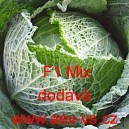 Kapusta hl&aacute;vkov&aacute; hybridn&iacute; polopozdn&iacute; F1 Mix