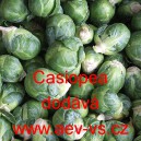 Kapusta růžičkov&aacute; Casiopea