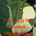 Kedluben b&iacute;l&yacute; velmi ran&yacute; Mix