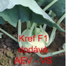 Kedluben b&iacute;l&yacute; hybridn&iacute; Kref F1