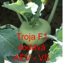 Kedluben b&iacute;l&yacute; hybridn&iacute; Troja F1
