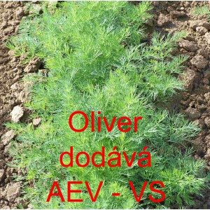 Kopr vonn&yacute; Oliver