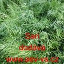 Kopr vonn&yacute; Sari