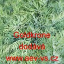 Kopr vonn&yacute; tetra Goldkrone