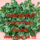 Kozl&iacute;ček poln&iacute;ček Holl&auml;ndischer breitbl&auml;ttriger