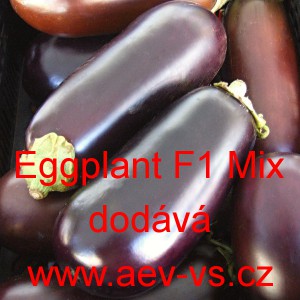 Lilek vejcoplod&yacute; baklaž&aacute;n hybridn&iacute; Eggplant F1 Mix