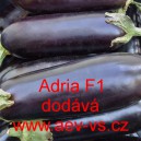 Lilek vejcoplod&yacute; baklaž&aacute;n hybridn&iacute; Adria F1