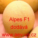 Meloun cukrov&yacute; hybridn&iacute; Alpes F1 (typ galia)