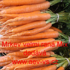 Mrkev obecn&aacute; velmi ran&aacute; Mix