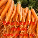 Mrkev obecn&aacute; ran&aacute; Mix