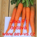 Mrkev obecn&aacute; hybridn&iacute; Jitka F1