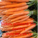 Mrkev obecn&aacute; poloran&aacute; Mix