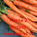 Mrkev obecn&aacute; Flakke 2