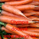 Mrkev obecn&aacute; Olympia