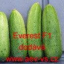 Okurka set&aacute; nakl&aacute;dačka hybridn&iacute; Everest F1