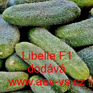 Okurka set&aacute; nakl&aacute;dačka hybridn&iacute; Libelle F1
