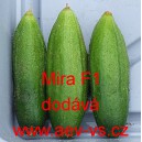 Okurka set&aacute; nakl&aacute;dačka hybridn&iacute; Mira F1