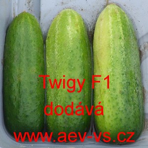 Okurka set&aacute; nakl&aacute;dačka hybridn&iacute; Twigy F1