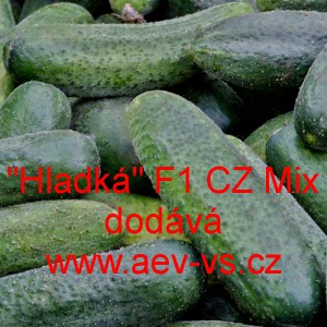 Okurka set&aacute; nakl&aacute;dačka hybridn&iacute; partenokarpick&aacute; "Hladk&aacute;" CZ F1 Mix