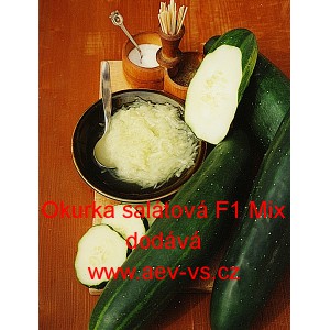 Okurka set&aacute; sal&aacute;tov&aacute; hybridn&iacute; F1 Mix