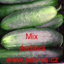 Okurka set&aacute; sal&aacute;tov&aacute; Mix
