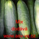 Okurka set&aacute; sal&aacute;tov&aacute; speci&aacute;lně na rychlokva&scaron;ky Mix