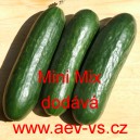 Okurka set&aacute; sal&aacute;tov&aacute; hybridn&iacute; "hadovka" do sklen&iacute;ku Mini F1 Mix