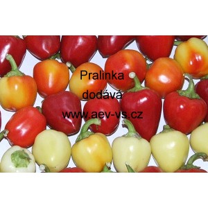 Paprika ročn&iacute; zeleninov&aacute; rajčinov&aacute; Pralinka