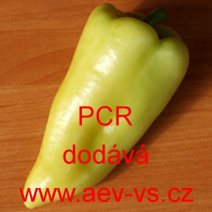 Paprika ročn&iacute; zeleninov&aacute; p&aacute;liv&aacute; PCR