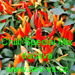 Paprika p&aacute;liv&aacute; Chilli Special Mix