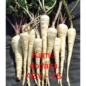 Pastin&aacute;k set&yacute; Kamo