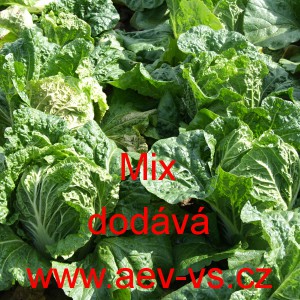 Pekingsk&eacute; zel&iacute; Mix