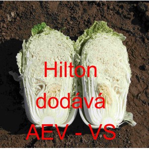 Pekingsk&eacute; zel&iacute; Hilton