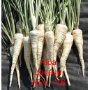 Petržel kořenov&aacute; Alba