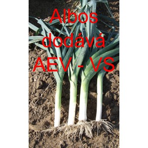 P&oacute;r zahradn&iacute; Albos