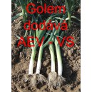 P&oacute;r zahradn&iacute; Golem