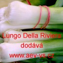 P&oacute;r zahradn&iacute; Lungo Della Riviera