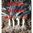 P&oacute;r zahradn&iacute; Winner