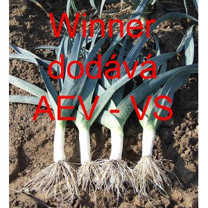 P&oacute;r zahradn&iacute; Winner