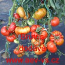 Rajče tyčkov&eacute; Brutus