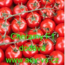 Rajče tyčkov&eacute; hybridn&iacute; Cheramy F1